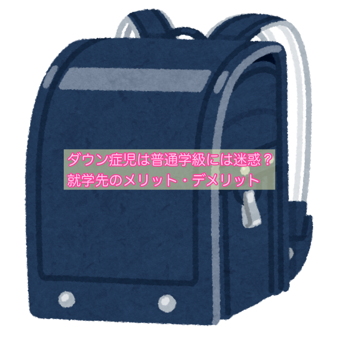 ダウン症 普通 学級 迷惑
